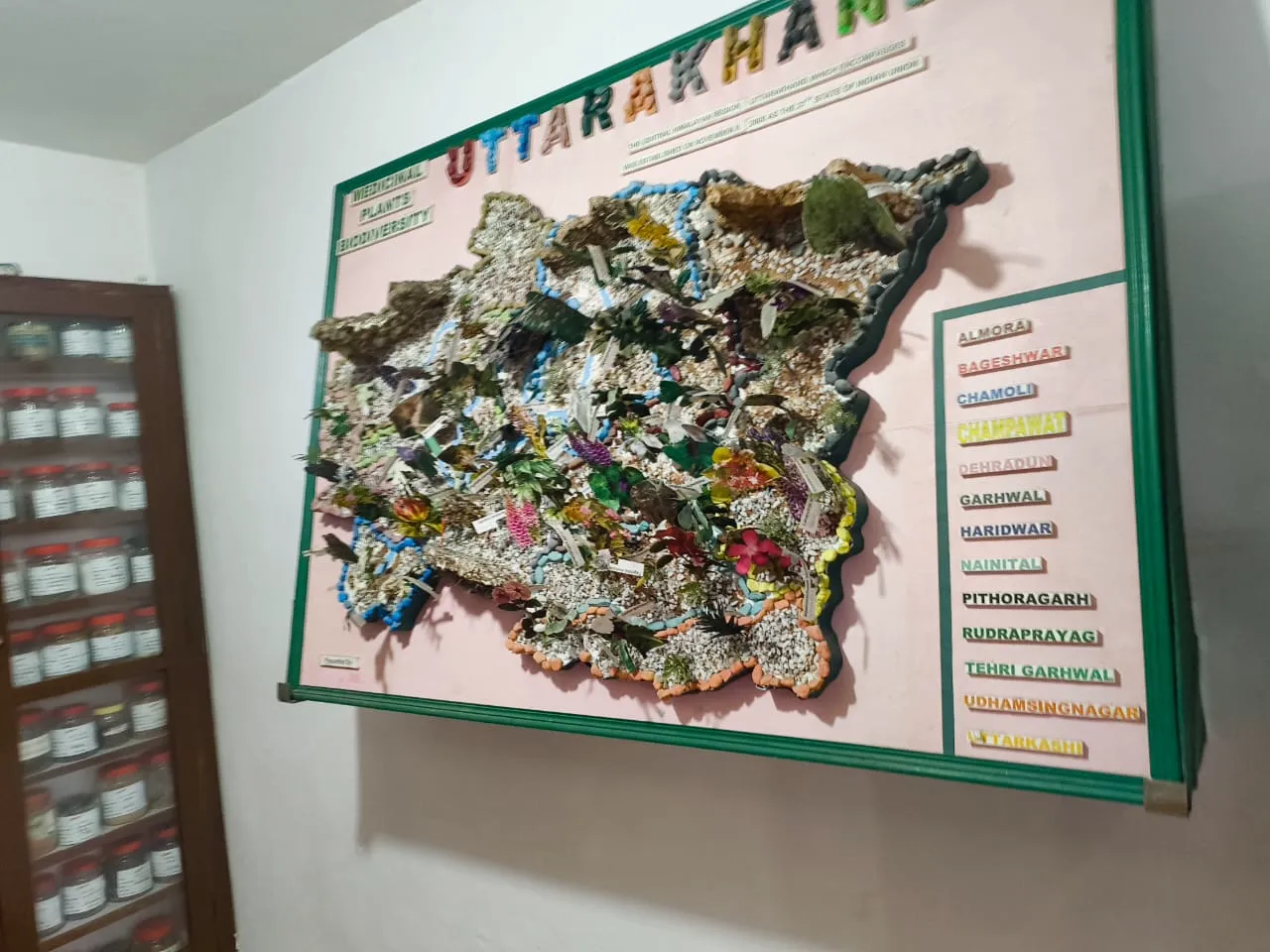 Industry Professional Discussion